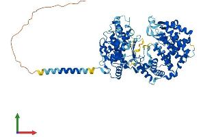 Protein Structure (PS) image for Kell Blood Group, Metallo-Endopeptidase (KEL) (AA 1-732) protein (His tag) (ABIN7554308)