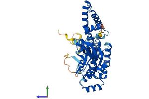 Protein Structure (PS) image for Obg-Like ATPase 1 (OLA1) (AA 1-396) protein (His tag) (ABIN7550158)