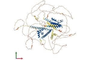 Protein Structure (PS) image for Bromodomain Containing 8 (BRD8) (AA 1-951) protein (His tag) (ABIN7564697)