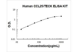 Human CCL25/TECK PicoKine ELISA Kit standard curve