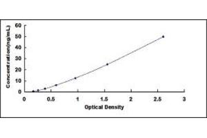 Typical standard curve (SMURF2 ELISA 试剂盒)