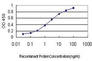 Detection limit for recombinant GST tagged RNF141 is approximately 0. (RNF141 抗体  (AA 141-229))