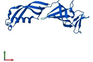 Protein Structure (PS) image for Polymerase (RNA) II (DNA Directed) Polypeptide G (POLR2G) (AA 1-172) protein (His tag) (ABIN7556609)