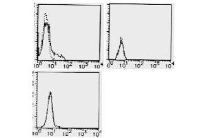 Flow Cytometry (FACS) image for anti-CD274 (PD-L1) antibody (ABIN1449170) (PD-L1 抗体)