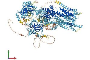 AlphaFold protein structure predicition of Human Recombinant ATP8B3 Protein, UniprotID O60423