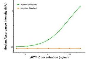 ELISA image for anti-Aminoacylase 1 (ACY1) antibody (ABIN2716057) (Aminoacylase 1 抗体)
