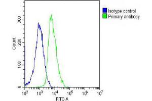 Overlay histogram showing SH-SY5Y cells stained with Antibody (green line). (LGR5 抗体  (AA 689-719))