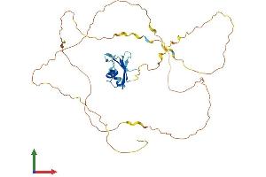 Protein Structure (PS) image for RNA Binding Motif Protein, X-Linked (RBMX) (AA 1-391) protein (His tag) (ABIN7565225)