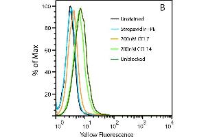 Uptake of 20nM CCL2-biotin by THP1 cells (dark green trace) is abolished by the addition of CCL7 (orange) but not CCL14 (light green), suggesting a CCR2-specific internalization. (CCL2 Protein (AA 24-99) (Biotin))