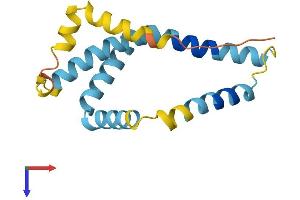 FUNDC2 Protein (AA 1-151) (His tag)