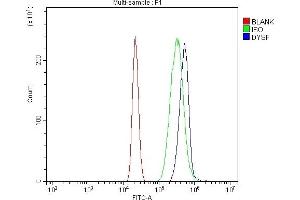 Flow Cytometry analysis of HL-60 cells using anti-Dysferlin/DYSF antibody (ABIN7601939). (Dysferlin 抗体  (AA 51-747))
