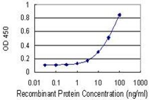 Detection limit for recombinant GST tagged BCAT1 is 1 ng/ml as a capture antibody. (BCAT1 抗体  (AA 1-320))
