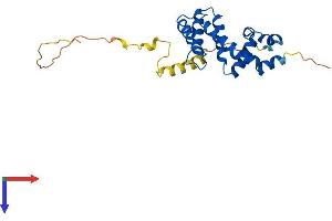 RGS19 Protein (AA 1-216) (His tag)