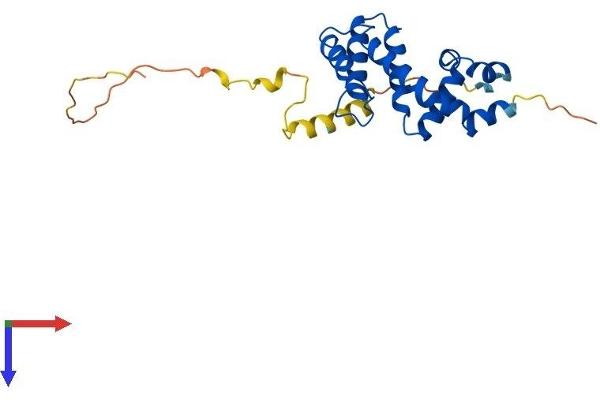 RGS19 Protein (AA 1-216) (His tag)