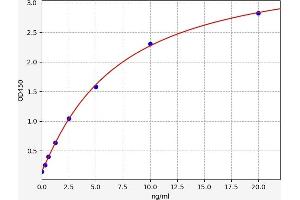 Typical standard curve (RASGRP3 ELISA 试剂盒)