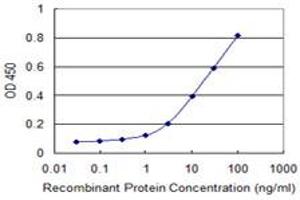 Detection limit for recombinant GST tagged CLTC is 0. (Clathrin Heavy Chain (CLTC) (AA 232-340) 抗体)
