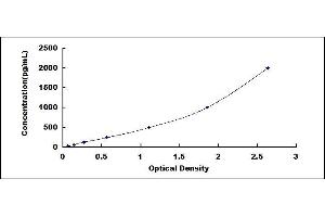 Typical standard curve (Peroxiredoxin 2 ELISA 试剂盒)