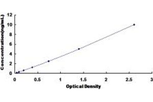 Retinoic Acid Receptor gamma ELISA 试剂盒