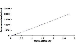 Typical Standard Curve for Simian TGFb1 ELISA.