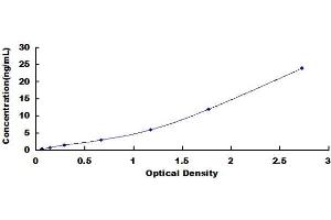 HLA Class I Histocompatibility Antigen, alpha Chain G (HLAG) ELISA Kit