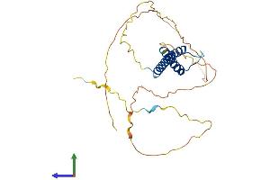 AlphaFold protein structure predicition of Human Recombinant NEUROG2 Protein, UniprotID Q9H2A3
