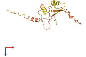 AlphaFold protein structure predicition of Human Recombinant C5orf63 Protein, UniprotID A6NC05