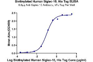 ELISA image for Sialic Acid Binding Ig-Like Lectin 10 (SIGLEC10) (AA 17-546) protein (His-Avi Tag,Biotin) (ABIN7275603)