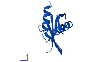 AlphaFold protein structure predicition of Mouse Recombinant Lamtor5 Protein, UniprotID Q9D1L9