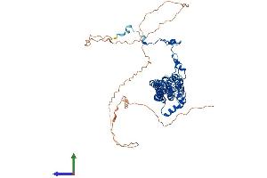 Protein Structure (PS) image for Bestrophin 1 (BEST1) (AA 1-585) protein (His tag) (ABIN7552581)