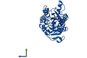 Protein Structure (PS) image for Glyoxylate Reductase/hydroxypyruvate Reductase (GRHPR) (AA 1-328) protein (His tag) (ABIN7548131)