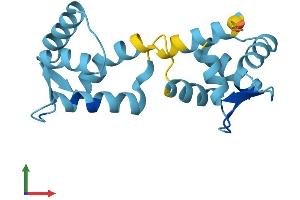 Protein Structure (PS) image for Calcium Binding Protein 5 (CABP5) (AA 1-173) protein (His tag) (ABIN7552955)