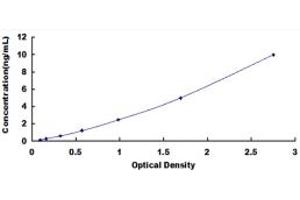 Typical standard curve (CD19 ELISA 试剂盒)