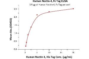 ELISA image for Poliovirus Receptor-Related 4 (PVRL4) (AA 32-349) (Active) protein (Fc Tag) (ABIN7013402)