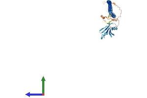 Protein Structure (PS) image for Ras Association (RalGDS/AF-6) Domain Family (N-terminal) Member 8 (RASSF8) (AA 1-419) protein (His tag) (ABIN7559390)