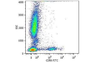 Surface staining of human peripheral blood cells with anti-CD56 (MEM-188) FITC. (CD56 抗体  (PE))