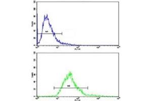 Flow cytometric analysis of CEM cells using MGMT antibody (bottom histogram) compared to a negative control top histogram). (MGMT 抗体  (AA 156-182))