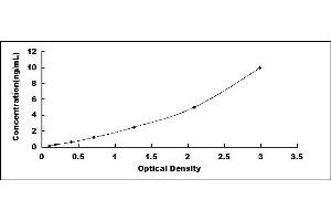 Typical standard curve (ADAM33 ELISA 试剂盒)