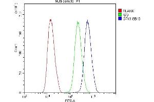 Flow Cytometry analysis of U251 cells using anti- GPX1 antibody (ABIN6719520).