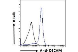 Flow Cytometry (FACS) image for anti-Down Syndrome Cell Adhesion Molecule (DSCAM) (Internal Region) antibody (ABIN185687)