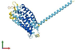 Protein Structure (PS) image for Lysophosphatidic Acid Receptor 6 (LPAR6) (AA 1-344) protein (His tag) (ABIN7549078)