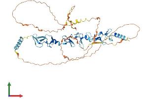 Protein Structure (PS) image for Thyroid Hormone Receptor Interactor 6 (TRIP6) (AA 1-480) protein (His tag) (ABIN7556398)