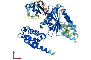 Protein Structure (PS) image for Thyroid Hormone Receptor Interactor 13 (TRIP13) (AA 1-432) protein (His tag) (ABIN7554895)