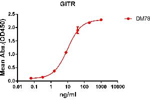 ELISA plate pre-coated by 2 μg/mL (100 μL/well) Human GITR protein, hFc-His tagged protein ((ABIN6961091, ABIN7042211 and ABIN7042212)) can bind Rabbit anti-GITR monoclonal antibody(clone: DM78) in a linear range of 1-100 ng/mL. (TNFRSF18 抗体  (AA 266-162))