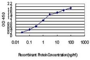 Detection limit for recombinant GST tagged IRX5 is approximately 0. (IRX5 抗体  (AA 204-264))