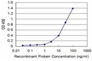 Detection limit for recombinant GST tagged AATK is approximately 3ng/ml as a capture antibody. (AATK 抗体  (AA 161-260))