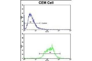 Flow Cytometry (FACS) image for anti-Mitochondrially Encoded NADH Dehydrogenase 5 (MT-ND5) (AA 544-570), (C-Term) antibody (ABIN390926)