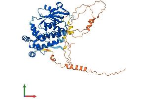 Protein Structure (PS) image for Archaelysin Family Metallopeptidase 1 (AMZ1) (AA 1-502) protein (His tag) (ABIN7558924)