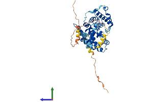 AlphaFold protein structure predicition of Mouse Recombinant Tbc1d20 Protein, UniprotID Q9D9I4