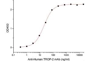 ELISA image for Tumor-Associated Calcium Signal Transducer 2 (TACSTD2) (Active) protein (Fc Tag) (ABIN7319895)