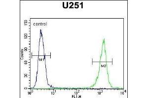 GA1 Antibody (N-term) (ABIN654679 and ABIN2844373) flow cytometric analysis of  cells (right histogram) comred to a negative control cell (left histogram). (GPAA1 抗体  (N-Term))